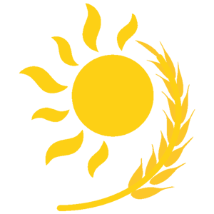 九月公考
